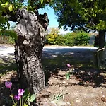 Quinta Do Sol