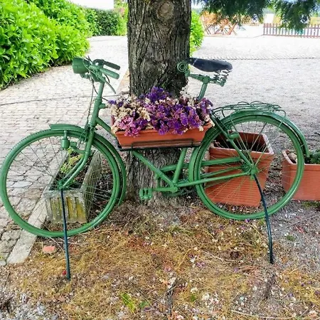 Quinta Do Sol Séjour chez l'habitant Alijó