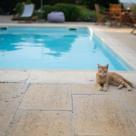 Quinta Do Sol Séjour chez l'habitant *