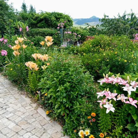 Quinta Do Sol