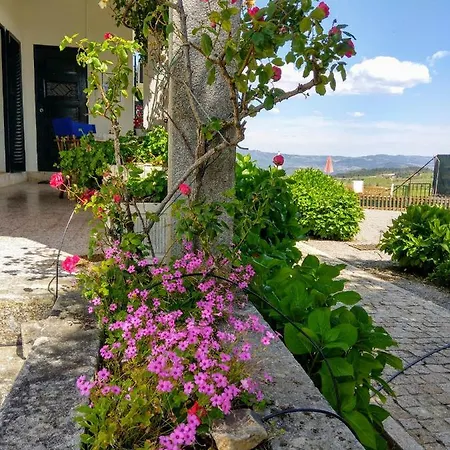 Quinta Do Sol Séjour chez l'habitant *