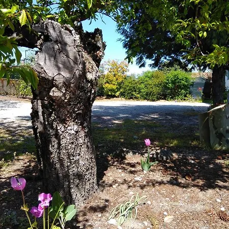 Quinta Do Sol