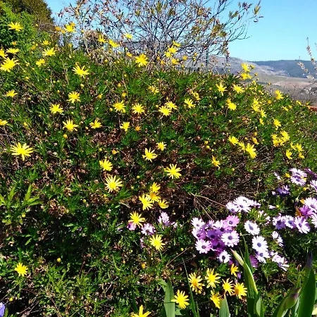 Quinta Do Sol Séjour chez l'habitant Alijó