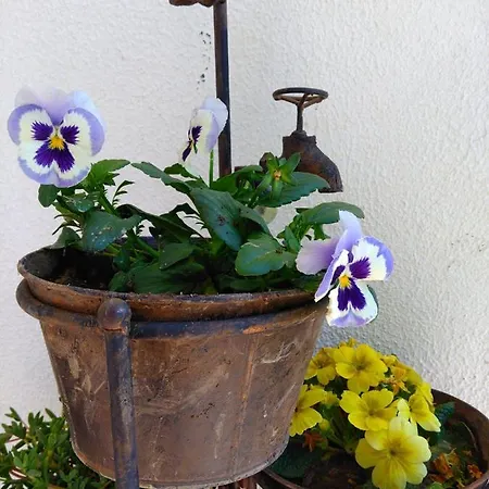 Quinta Do Sol Habitación en casa particular *