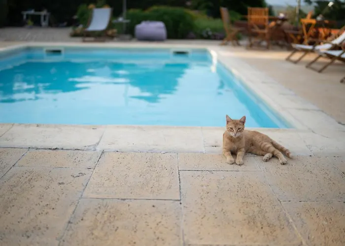 Quinta Do Sol Homestay *