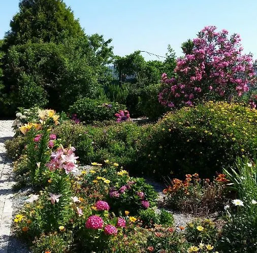 Quinta Do Sol * Alijó