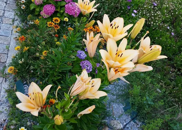 Quinta Do Sol Homestay Alijo