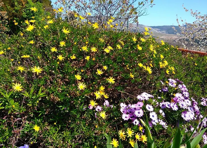 Quinta Do Sol Homestay szállás Alijó